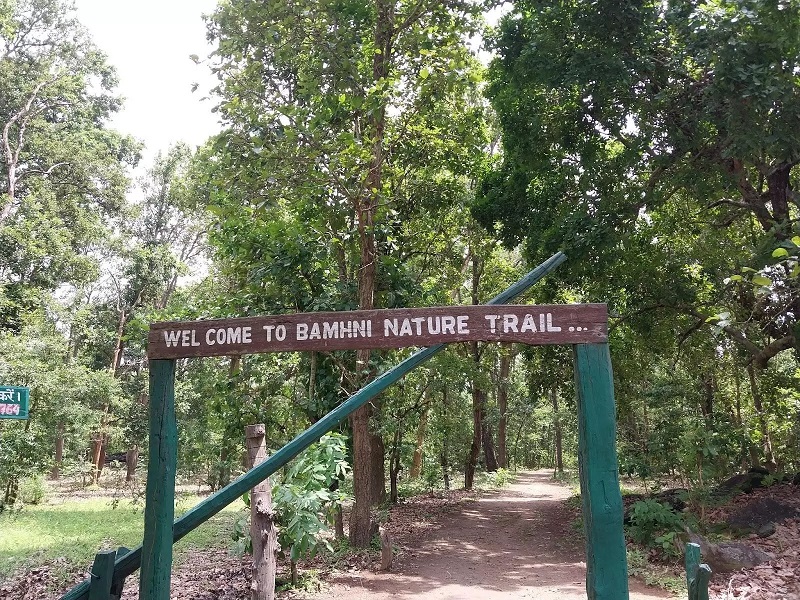 A Walk Through Kanha